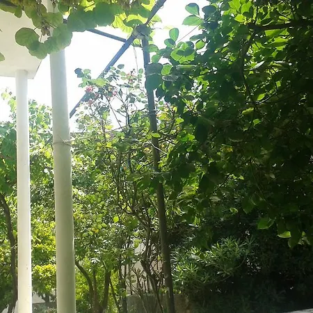 بيت ضيافة And Laguna تروغير